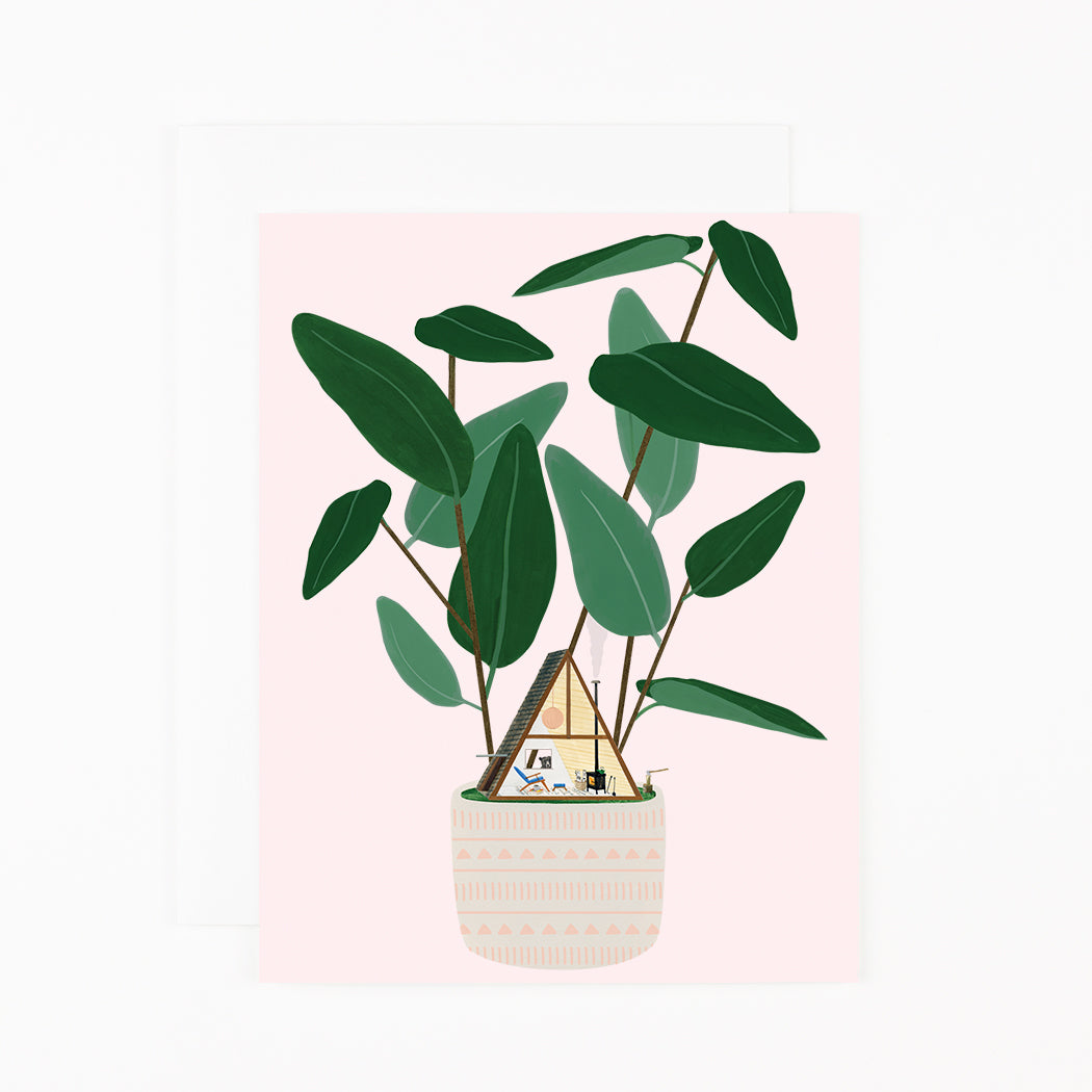 A-Frame House Plant  