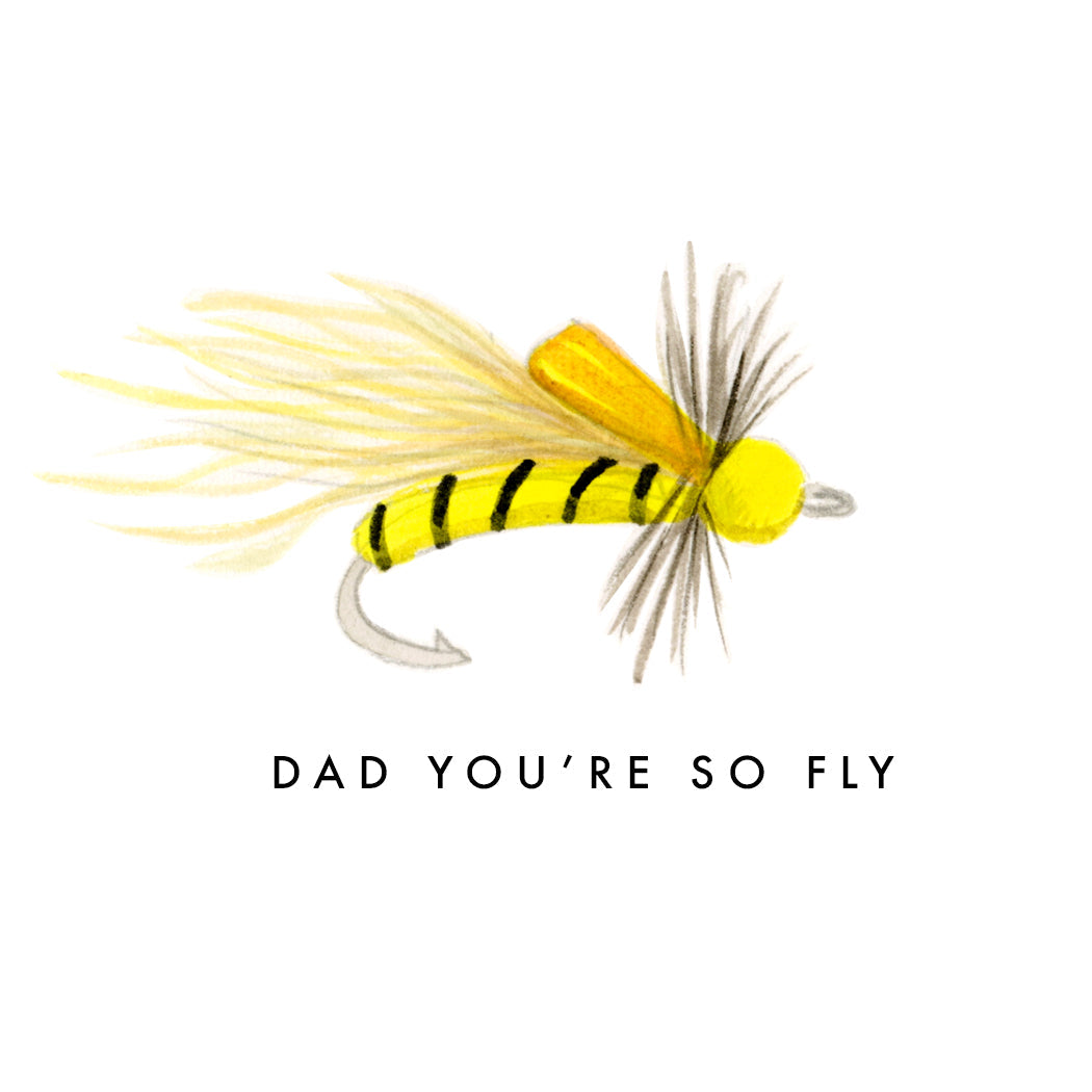 Dad Fly  