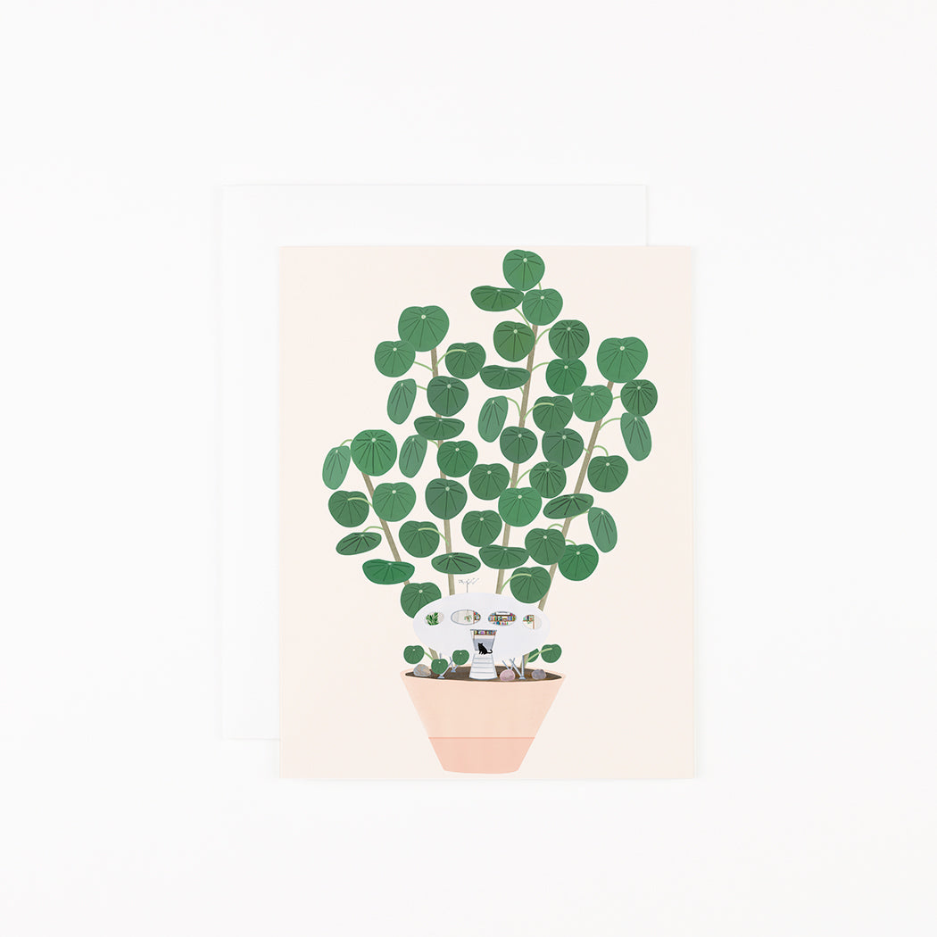 Spaceship House Plant  