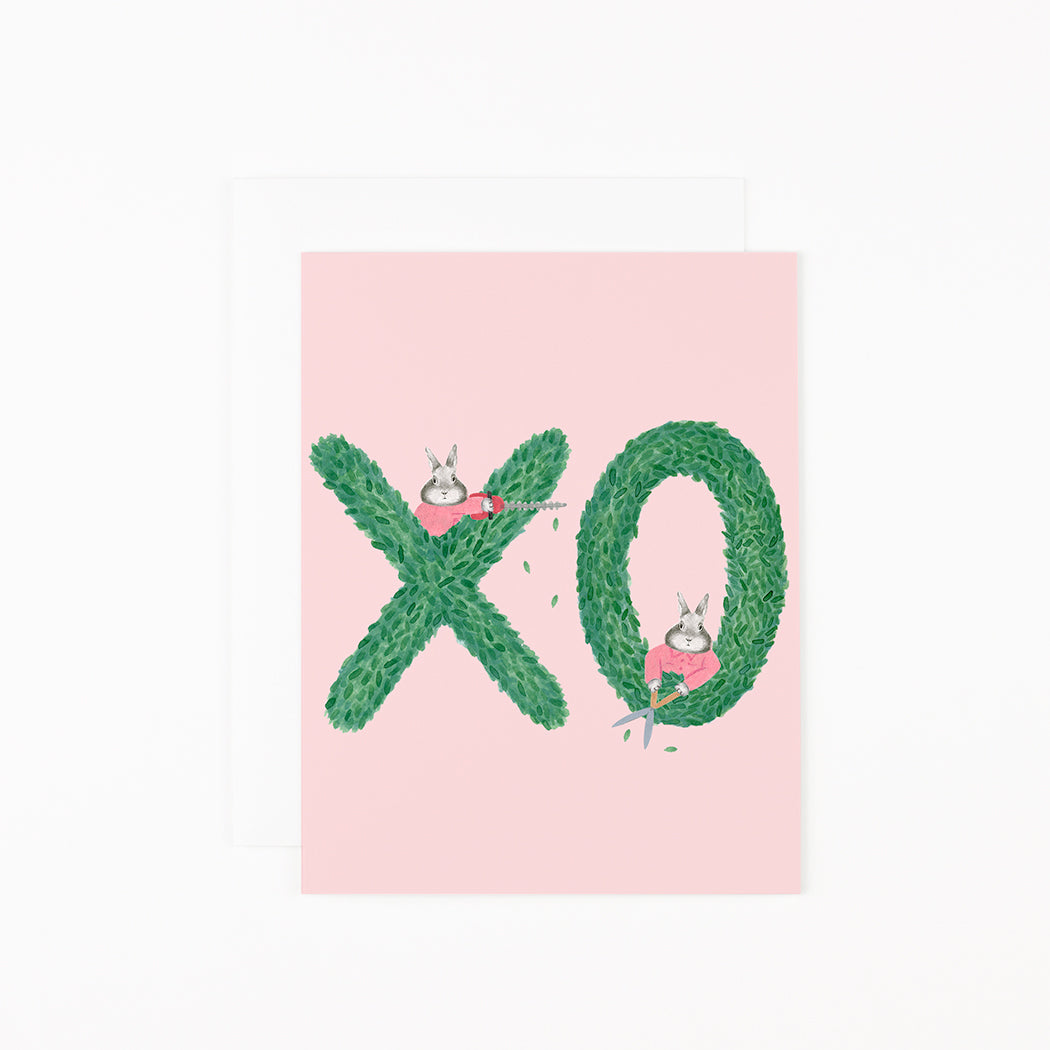 XO  