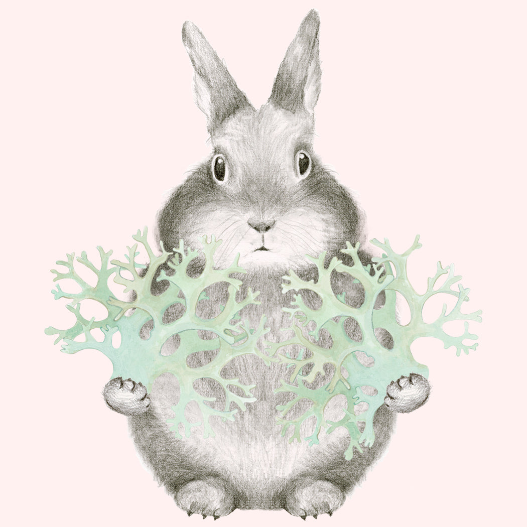 I've Taken a Lichen to You  